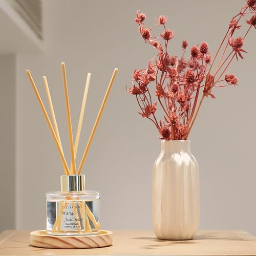 100ml Scent Diffuser with 6 Fiber Sticks, 3.5 oz Reed Diffuser Set Aromatherapy Fragrance Diffusers Air Fresheners for Home Bedroom Bathroom (Mango)