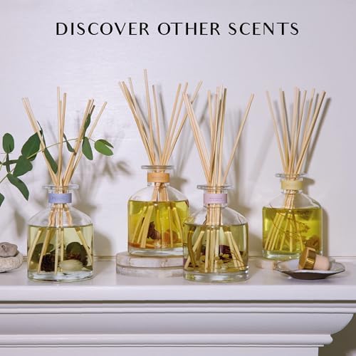 Benevolence LA Pacific Driftwood Reed Diffuser | Eucalyptus, Fig & Sandalwood | Home Fragrance Diffuser for Bathroom | Long-Lasting Scent Sticks | Sun-Kissed Collection