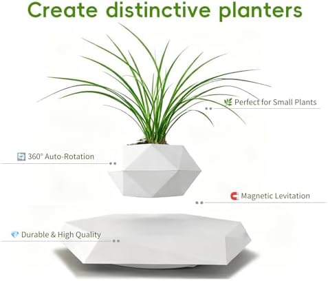 MOOCCI Floating Plant Pot,Levitating Planter for Succulents