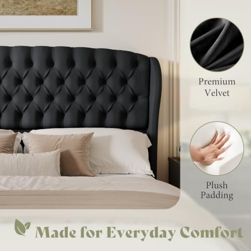 AMERLIFE Full/Queen Headboard Only, Velvet Curved Wingback, Black