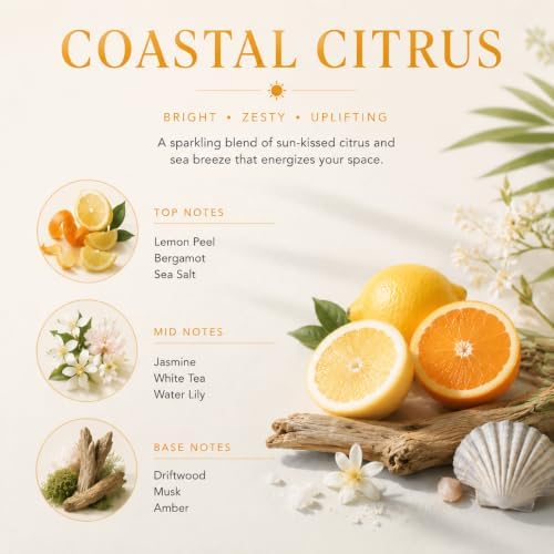Airkeep Reed Diffuser Set,3.38 fl oz (100 ml) - Coastal Citrus Oil Diffusers with 8 Reed Sticks, Home Fragrance Reed Diffuser for Bathroom Shelf Decor