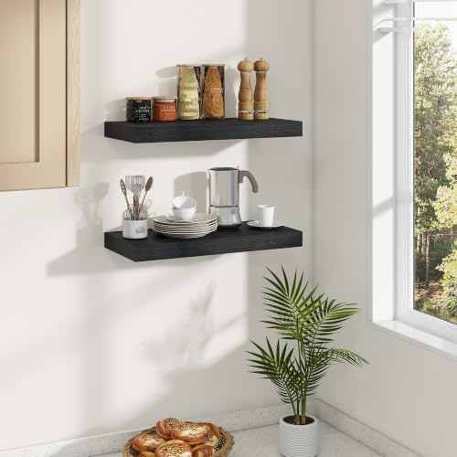 Dreamland 20 Inches Wall Mounted Wood Floating Shelves, Black, 2 Pack