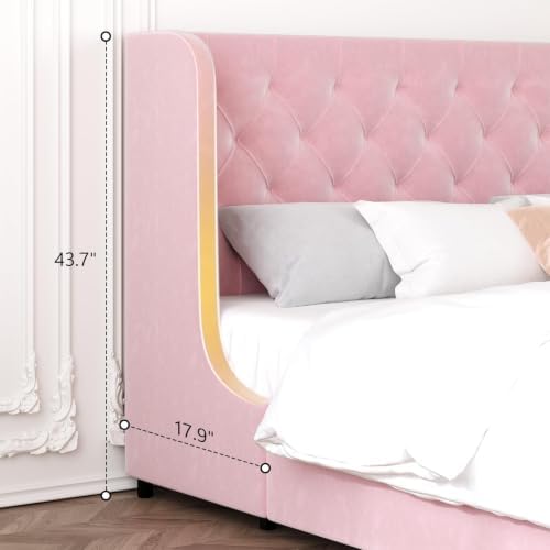 HOMBCK Full Size Bed Frame with Velvet Upholstered Headboard, Pink