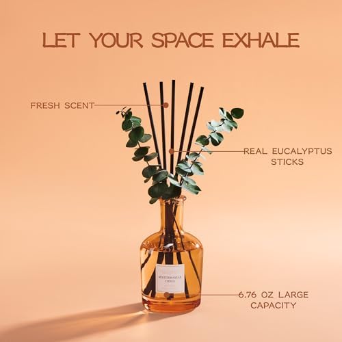 COCORRÍNA Mediterranean Citrus Reed Diffuser, 6.76 oz