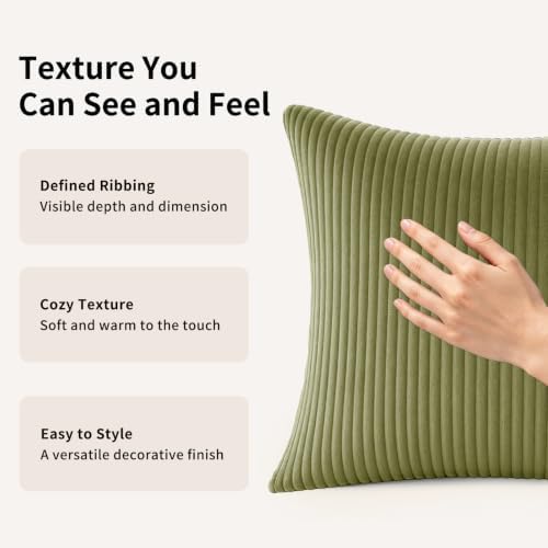 2 Pack 18 x 18 Decorative Throw Pillows with Insert Included