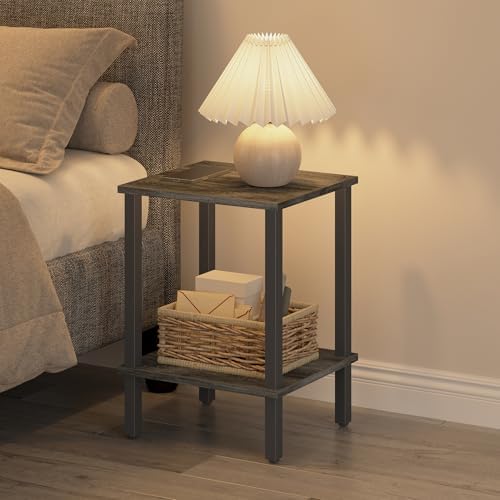 TUTOTAK End Table, Set of 2, Side Table, Nightstand, 2-Tier Storage Shelf