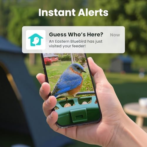 Birdfy 2 Smart Bird Feeder with Camera, 1080P HD for Outdoor Bird Watching