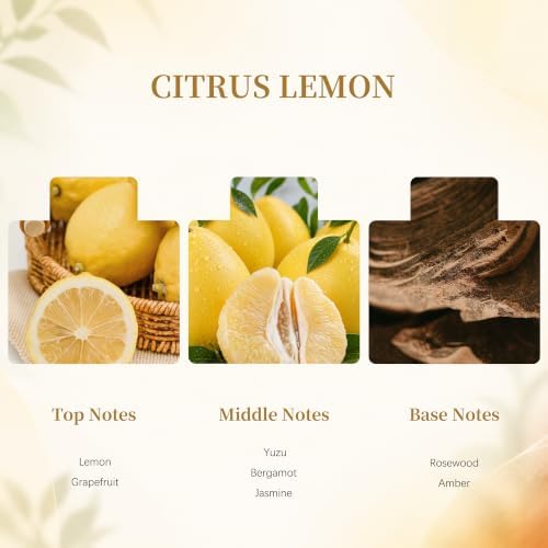 Airkeep Flower Reed Diffuser Set, Citrus Lemon Diffuser Set, 5.07 Fl.oz (150ml), Home Fragrance, Bathroom, Bedroom & Home Décor, Air Freshener