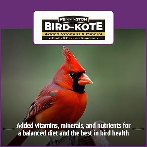 Pennington Songbird Nut & Fruit Blend Wild Bird Seed for Outside Feeders