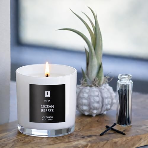 Lulu Candles Pineapple Evergreen Scented Soy Blend Jar Candle, 9 Oz.