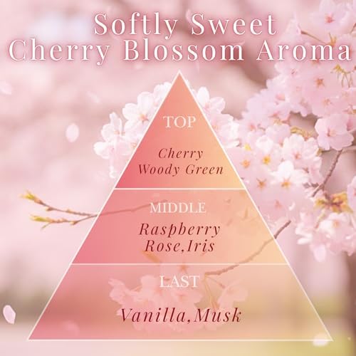 Sakura CherryBlossom Premium Japanese Incense Sticks 60sticks Coreless Low Smoke Natural Charcoal Free Non Toxic Kyoto Aroma Aromatherapy Meditation Calming Stress Relief Relaxation TOMORI