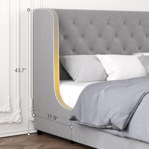 HOMBCK Full Size Bed Frame with Velvet Upholstered Headboard, Grey