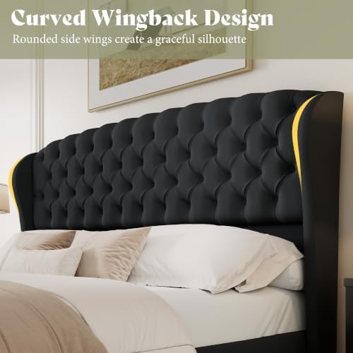 AMERLIFE Full/Queen Headboard Only, Velvet Curved Wingback, Black
