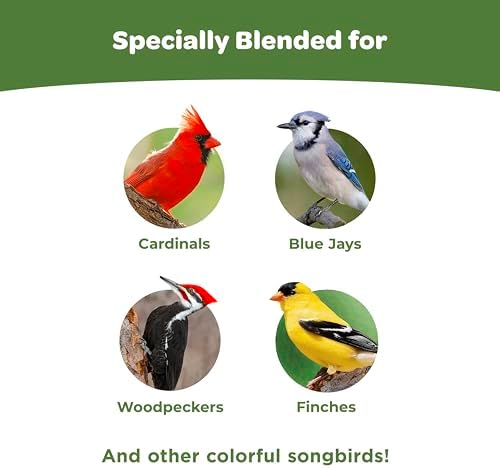Kaytee Ultimate Birder's Blend Food, Wild Bird Seed, 10 Pounds