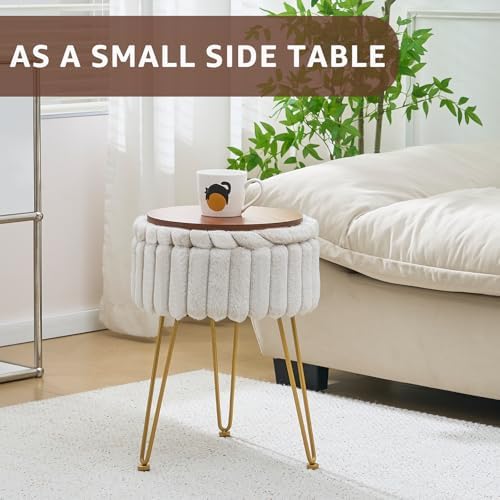 Wimarsbon Vanity Stool with Storage, Faux Fur Ottoman Chair with Metal Legs