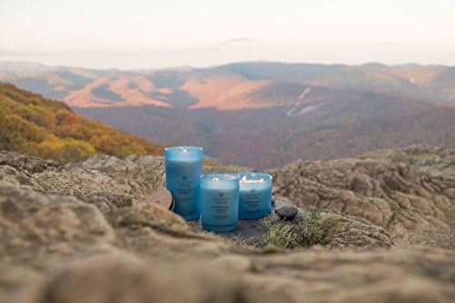 Chesapeake Bay Candle Scented Candle Confidence + Freedom (Oak Moss Amber) Medium Home Décor 8.8oz (Pack of 4)