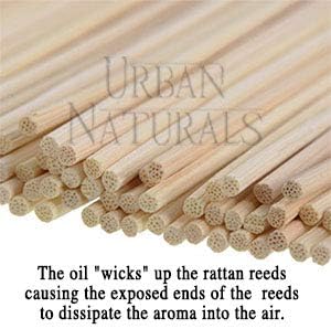 Urban Naturals Reed Diffuser Set, Lavender Fields - Bathroom Shelf Décor