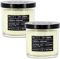 Lulu Candles | Pineapple Evergreen | Luxury Scented Soy Jar Candle | Hand Poured in The USA | Highly Scented & Long Lasting- 6 Oz. 2 Pack