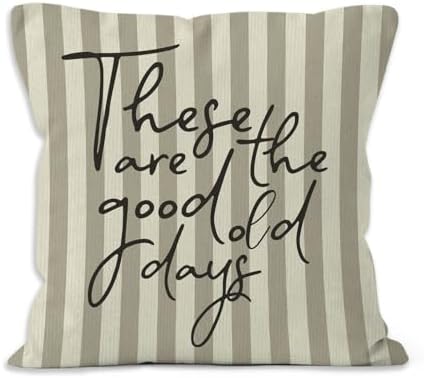 Inspirational These are the Good Old Days Throw Pillow Cover 18x18, Positive Motivational Decorative Pillow Covers for Home Living Room Bedroom, Neutral Striped Accent Pillows Cover Pillowcases