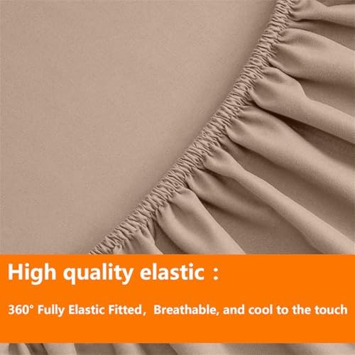 TAIMIT Beige Queen Size Comforter Set - 7 Pieces, Bed in a Bag Bedding Sets with All Season Soft Quilted Warm Fluffy Reversible Comforter,Flat Sheet,Fitted Sheet,2 Pillow Shams,2 Pillowcases