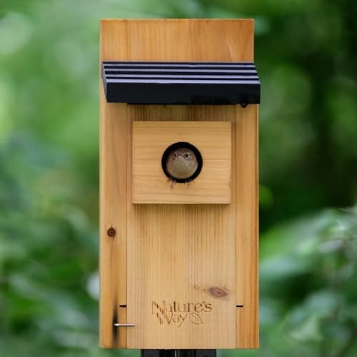 Nature’s Way Cedar Bluebird House for Outdoor Nesting, Predator Guard, Ventilated Design & Easy Access Clean-Out Panel, Natural Wood, Cedar Nesting House (Pack of 4)
