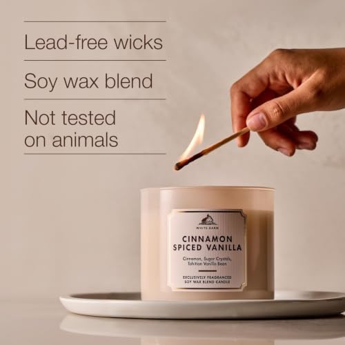 Bath & Body Works 3-Wick Candle, Cinnamon Spiced Vanilla Scent, 2 Pack