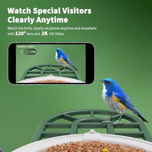 HARYMOR Smart Bird Feeder with Camera - AI Identify Birds Species, Solar Powered Bird House with Cam, 2L Large Capacity, 2K HD Video Live Stream, Instant Arrival Alerts - Green