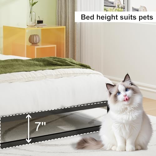 EMODA 7 Inch Queen Bed Frame No Box Spring Needed, Easy Assembly
