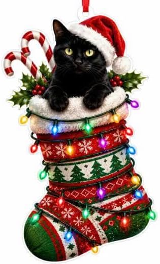 Black Cat Christmas Ornaments 2026, Cat Lover Gifts for Women Men, Black Cat Ornament with Lights, Funny, Cute Pet Acrylic Hanging Ornament, White Elephant Gift