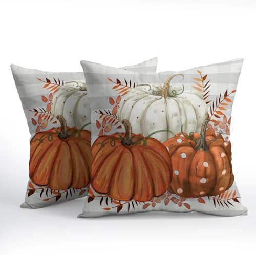 Fall Pumpkins Outdoor Pillows 20x20 Inch Set of 2 Autumn Harvest Pumpkin Pillowcase Buffalo Plaid Maple Leaves Decorative Throw Cushion Cover for Thanksgiving Seasonal Home Couch Porch Patio Decor