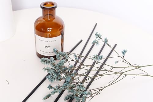 WEALD TRIBE Reed Diffuser Set for Bathroom Decor, Sticks Diffuser with Fragrance Oils Included | Ocean Scent 4.0 fl oz Fragrance Oil Defusers for Home Living Room Shelf Decor Apartment Essentials