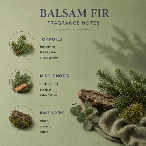 Airkeep Balsam Fir Reed Diffuser Refill – 6.76 fl oz Premium Scented Oil for Home Aromatherapy – Long-Lasting Fragrance for Reed Diffusers – Perfect for Bathroom, Bedroom & Home Decor