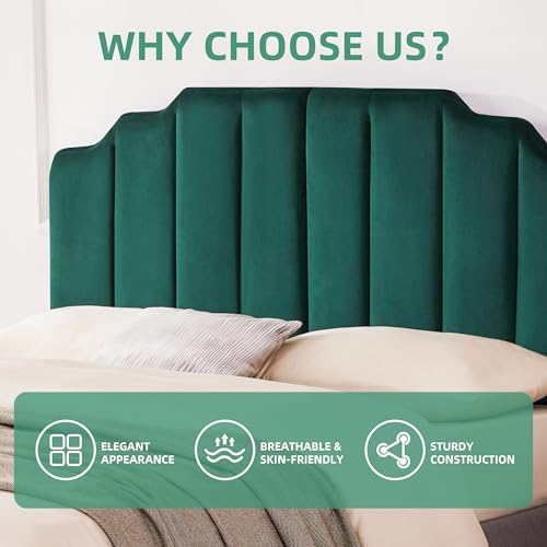 Headboard Queen Elegantly Curved Soft Padded Queen Headboard Only
