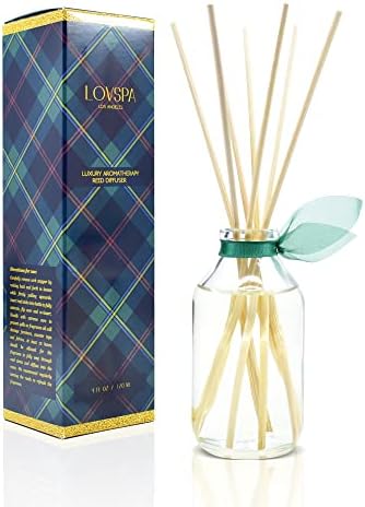 Reed Diffuser Set - Birchwood Pine Scented Diffuser with Sticks