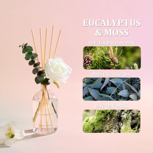 COCORRÍNA Reed Diffuser Eucalyptus Moss 6.76 fl oz Home Bathroom Fragrance