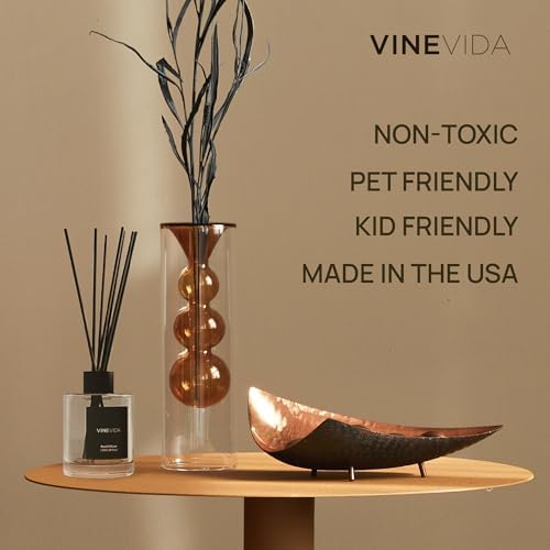 VINEVIDA Prime Reed Diffuser for Home & Bathroom | Long-Lasting Scent Sticks Set | Oil Stick Diffuser | Bathroom Scent - Room Fragrance No. 1007
