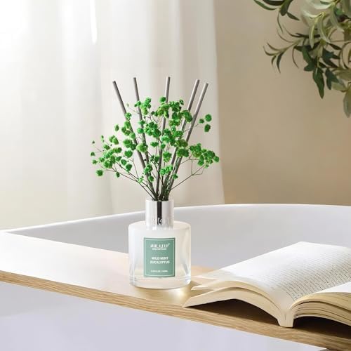 Airkeep Reed Diffuser Set,3.38 fl oz (100 ml) - Wild Mint&Eucalyptus Oil Diffusers with 8 Reed Sticks, Home Fragrance Reed Diffuser for Bathroom Shelf Decor