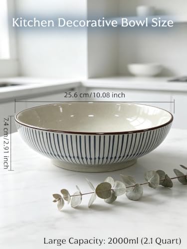 10" Large Ceramic Fruit Bowl for Kitchen Counter & Dining Room Table