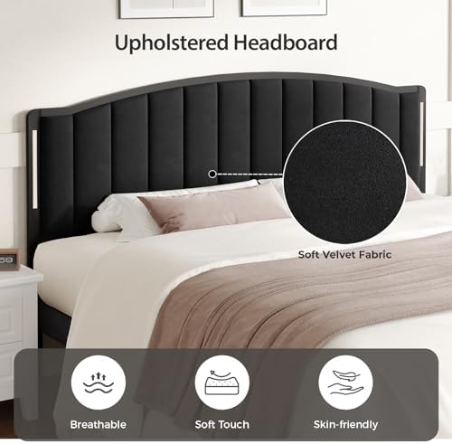 Upholstered Tufting Headboard for King Size Bed with Lights, Black
