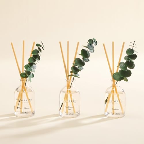 COCORRÍNA Reed Diffuser Set of 3 with Dried Eucalyptus for Home & Office