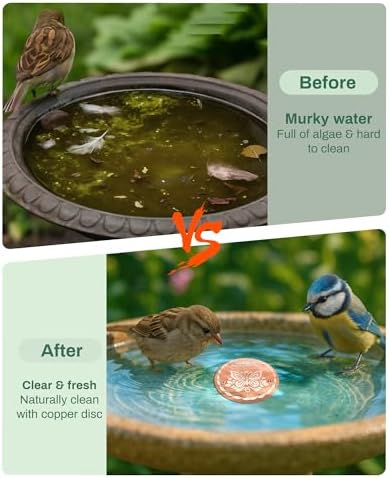 OICEME Bird Bath Purification Disk Pure Copper Outside Birdbath Outdoor Hummingbird Water Fountain Solar Power Window Feeder Stand Nectar Food Pole House Hanging Birdhouse Accessories