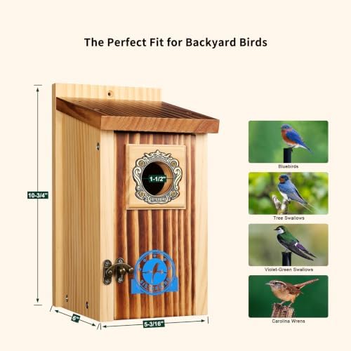 SISTERBIRD Premium Bluebird Houses for Outside, Bird House, Warming Gifts