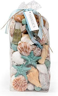 ANDALUCA Ocean Plumes Scented Seashell Potpourri Large 20 oz Bag with Fragrance Vial Coastal Decor