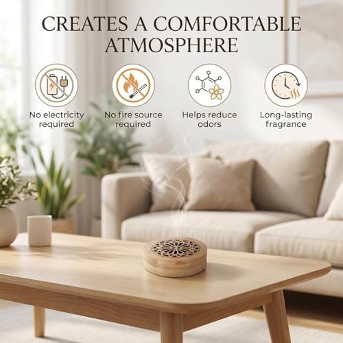 Passive Essential Oil Diffuser Stone, Small Lava Rock Diffuser Set Aromatherapy Stone for Desk Office Home Car & Gift-Giving, Compact Wood Bas