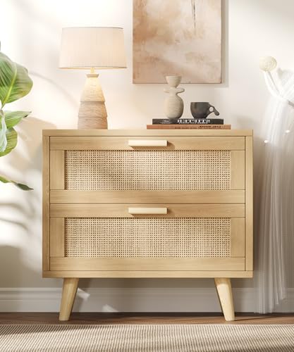 Keehusux 23.6" W Rattan Nightstand with Charging Station and 2 Drawers