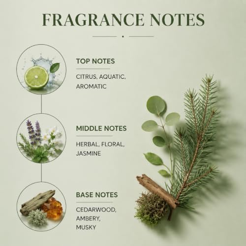 Airkeep Forest Mist Reed Diffuser Refill – 6.76 fl oz – Premium Scented Oil for Home Aromatherapy – Long-Lasting Fragrance for Reed Diffusers – Perfect for Bathroom, Bedroom & Home Decor