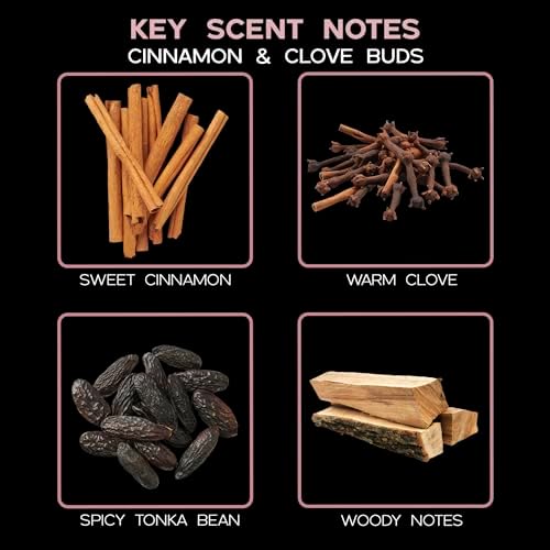 Reed Diffuser Set - Cinnamon & Clove Buds Scented Diffuser with Sticks