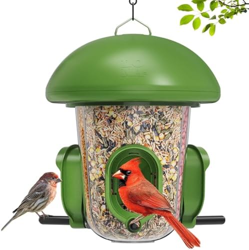 LONA Bird Feeder with 3 Compartments, Dome Bird Feeder for Outdoor, Green