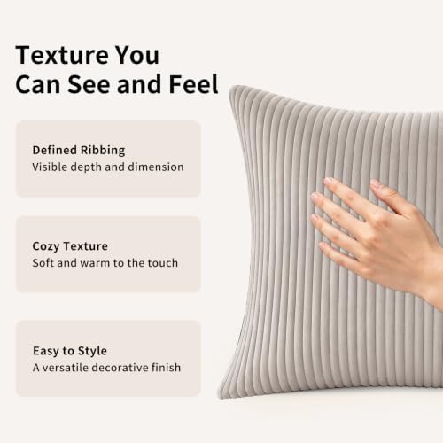 2 Pack 18 x 18 Decorative Throw Pillows with Insert Included