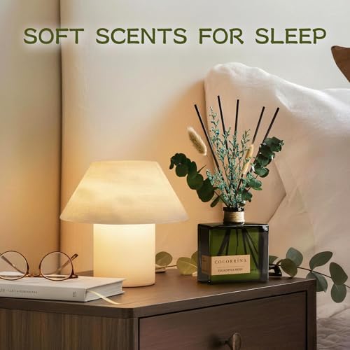 COCORRÍNA Dried Flowers Reed Diffuser, Eucalyptus Moss Scent 6.76 fl oz